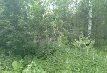 sverdlovskaya oblast usilivaet zashhitu ot kleshhevogo enczefalita soobshhayut v rospotrebnadzore-stanural-ru-174712183900-0