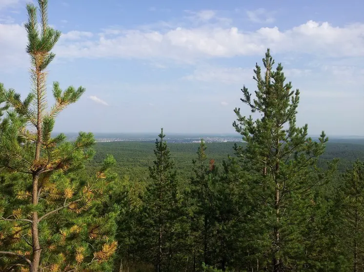 Пропавший житель свердловского поселка Безречный найден мертвым