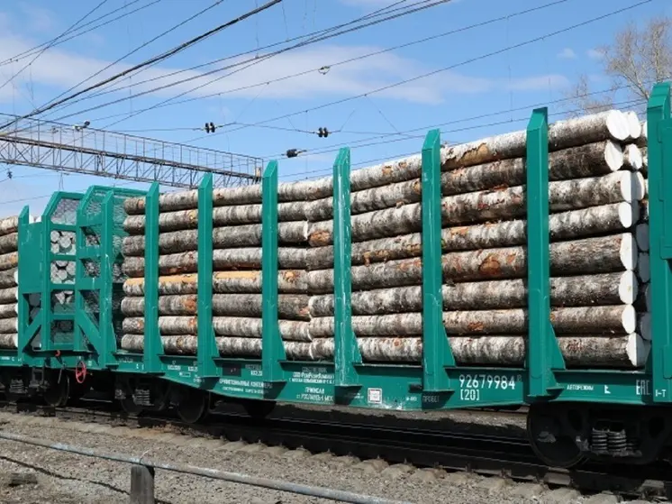 СвЖД разработала маршрут «грузового экспресса» для лесных грузов с севера