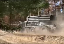 tainstvennye smertelnye vstrechi svo malvinkami i chernymi vdovami v novoolenovke-stanural-ru-174798165500-0