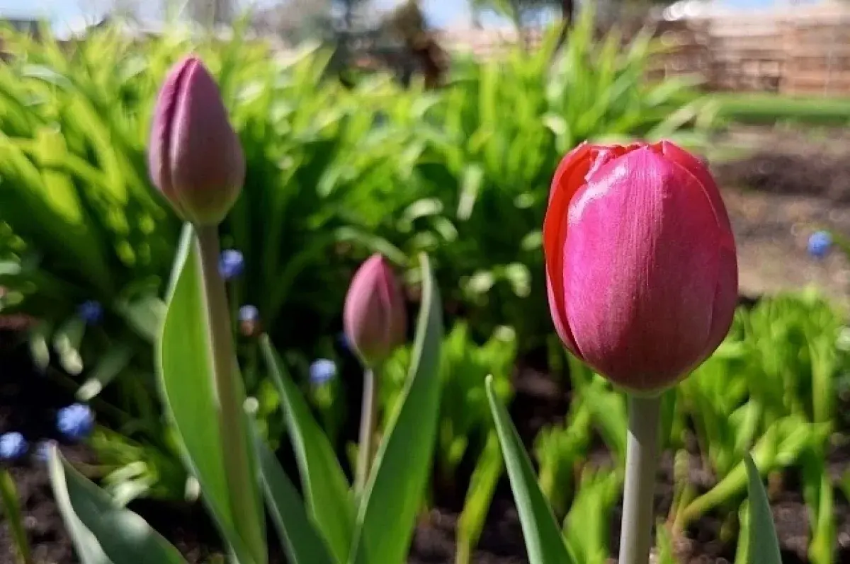 Уралгидрометцентр прогнозирует теплые солнечные выходные в Свердловской области-0