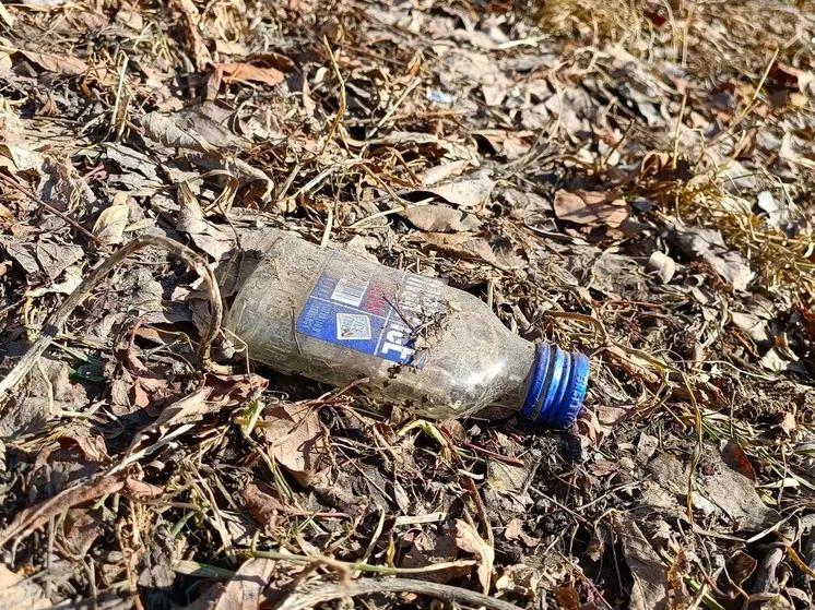 В Зауралье женщину будут судить за вовлечение сына в пьянство