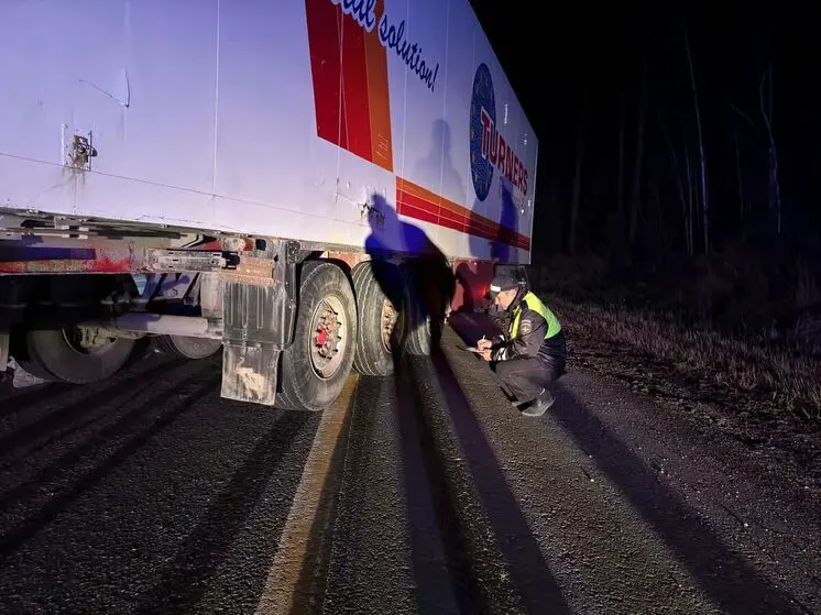 Водитель грузовика насмерть задавил свердловчанина, шедшего по трассе