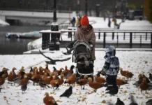 vliyanie emoczionalnogo fona na detskuyu allergiyu po mneniyu kariny chen-stanural-ru-174808377300-0