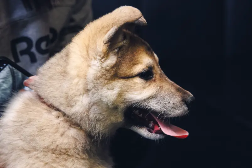 Фото: primamedia.ru