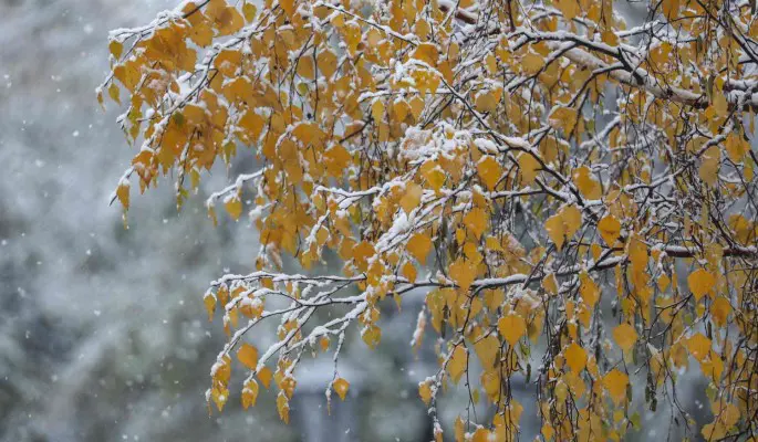 Яков день: что нельзя делать 5 ноября