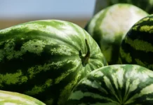 Дарья Русакова и Артем Лисикян из CL Doctor делятся советами по предотвращению обезвоживания летом darya rusakova i artem lisikyan iz delyatsya sovetami po predotvrashheniyu obezvozhivaniya letom-stanural-ru-0