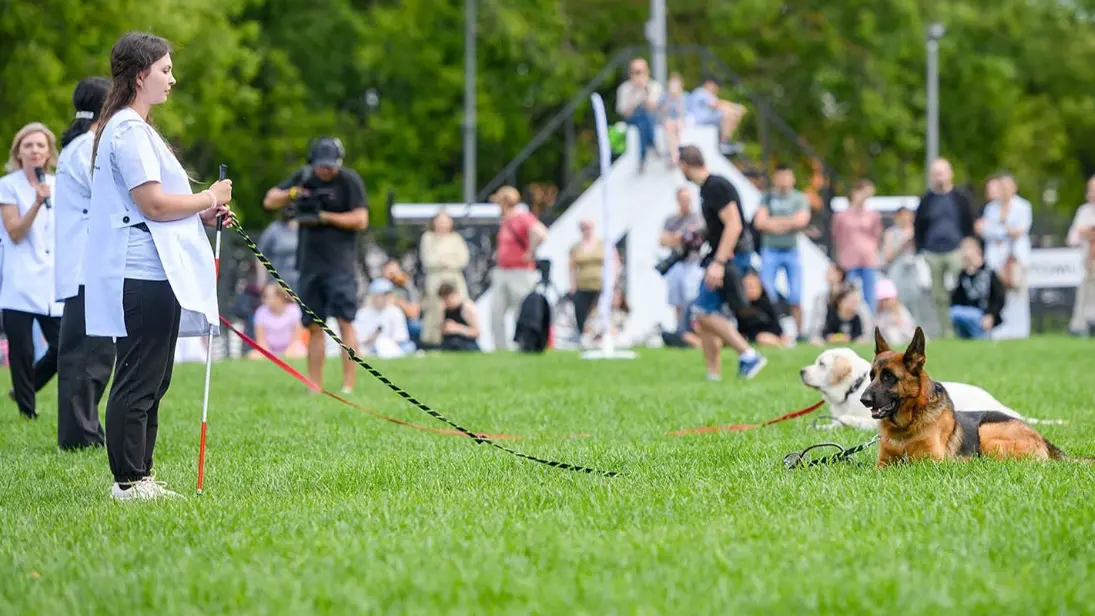 Горожане увидят выступления служебных собак в рамках проекта «Питомцы в Москве»