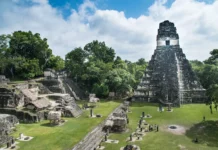 Гены майя раскрывают тайны истории смешения и расцвета Копана geny majya raskryvayut tajny istorii smesheniya i rasczveta kopana-stanural-ru-174885119800-0