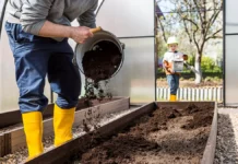 Илья Рыбальченко, Виктор Горячев и эксперты дали советы для урожая в холодные дни лета ilya rybalchenko viktor goryachev i eksperty dali sovety dlya urozhaya v holodnye dni leta-stanural-ru-0