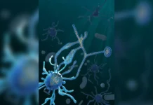 Майкл Глотцер и AlphaFold раскрыли эволюционную тайну перехода к многоклеточности majkl glotczer i raskryli evolyuczionnuyu tajnu perehoda k mnogokletochnosti-stanural-ru-0