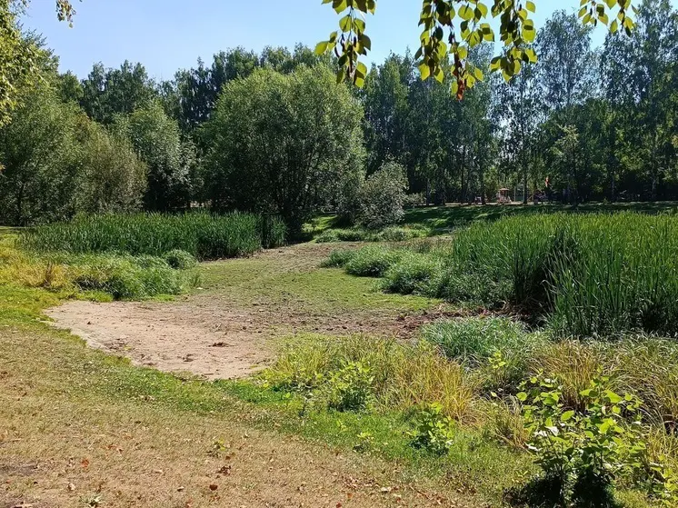 Водоем парка 50-летия ВЛКСМ, о котором долго не говорили, приведут в порядок