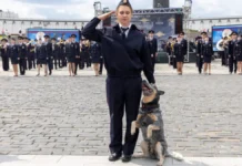 Парк Победы приглашает на яркий праздник от МВД России и Музея Победы park pobedy priglashaet na yarkij prazdnik ot mvd rossii i muzeya pobedy-stanural-ru-0