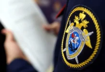 Проверка безопасности прыжков в парке Чкалова в Екатеринбурге proverka bezopasnosti pryzhkov v parke chkalova v ekaterinburge-stanural-ru-174878060000-0