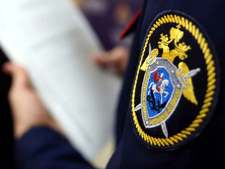 СКР проверяет данные о падении девушки с парашютной вышки в Екатеринбурге