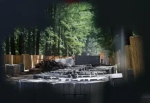 Ремонт в ВДНХ и парке Сокольники обновит любимые уголки Москвы remont v vdnh i parke sokolniki obnovit lyubimye ugolki moskvy-stanural-ru-174892571500-0