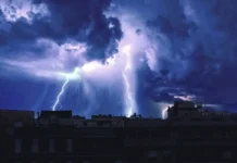 Росгосстрах и Юлия Серова рассказывают о рекордных выплатах летом на Урале rosgosstrah i yuliya serova rasskazyvayut o rekordnyh vyplatah letom na urale-stanural-ru-174885934700-0