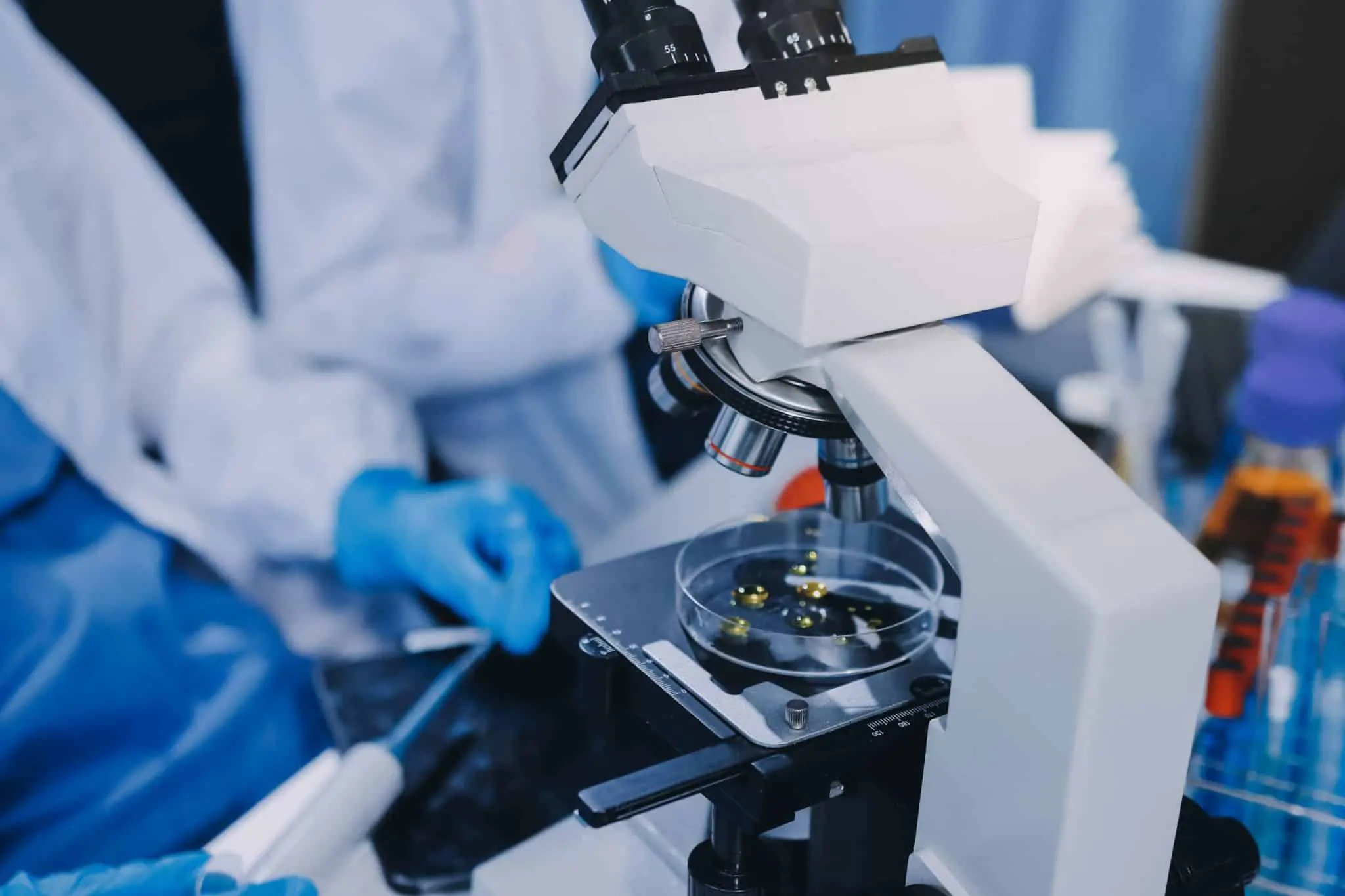 Сколковский институт, Иннополис и МФЮА — лидеры частной науки в вузах России-0