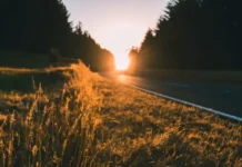 Тихонов день 29 июня предлагает светлые традиции и народные приметы tihonov den 29 iyunya predlagaet svetlye tradiczii i narodnye primety-stanural-ru-0