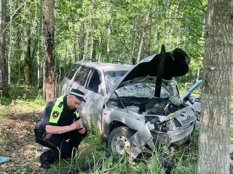 Пьяный свердловский водитель на автомобиле «Богдан» врезался в дерево