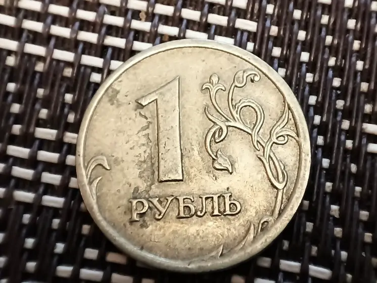 Курганская ОПГ незаконно обналичивала материнский капитал