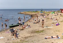 vladivostok i sahalin obedinyayut usiliya dlya komfortnogo plyazhnogo otdyha-stanural-ru-0