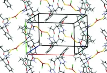 Андрей Кузовлев и Алексей Васильченко представили прорыв Института химии ТюмГУ в изучении Escherichia coli и антибиотиков andrej kuzovlev i aleksej vasilchenko predstavili proryv instituta himii tyumgu v izuchenii i antibiotikov-stanural-ru-0