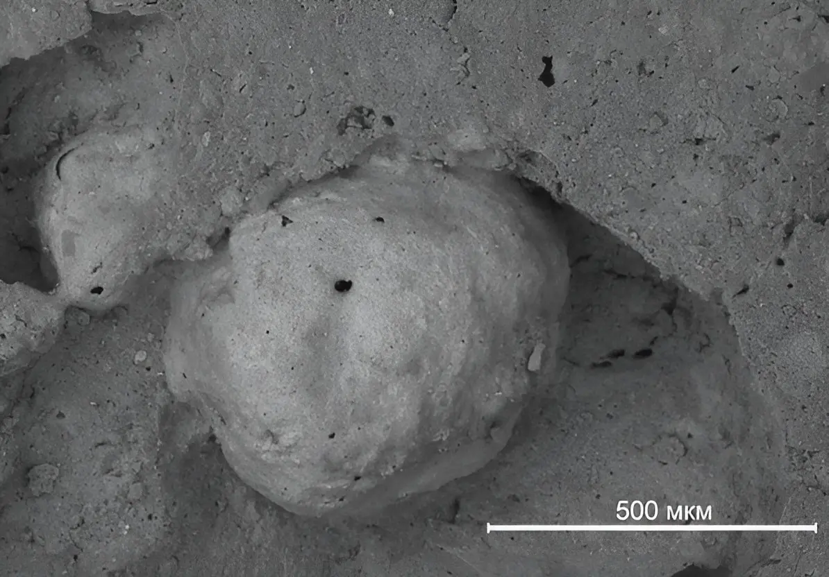 Елена Калинина из ПНИПУ создала экокерамику из нефтешлама - прогресс в утилизации-0