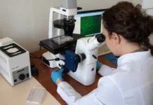 Евгений Попов и исследование Bacillus cereus в сливочном масле ВГУИТ evgenij popov i issledovanie v slivochnom masle vguit-stanural-ru-0