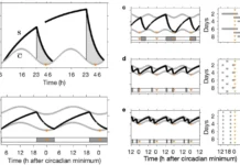 Как исследования Университета Суррея раскрывают секреты сна младенцев и подростков kak issledovaniya universiteta surreya raskryvayut sekrety sna mladenczev i podrostkov-stanural-ru-0