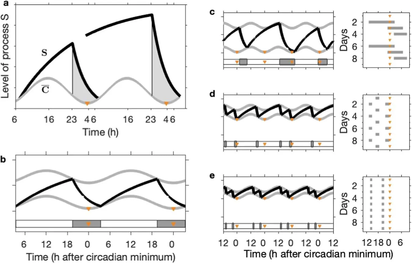 Как исследования Университета Суррея раскрывают секреты сна младенцев и подростков-0