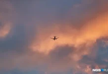 Ночь беспилотников парализовала Аэрофлот и Turkish Airlines в Пулково и шести регионах noch bespilotnikov paralizovala aeroflot i v pulkovo i shesti regionah-stanural-ru-0