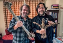 Colossal Biosciences работает над возрождением птицы моа с Питером Джексоном и Френсис Уолш rabotaet nad vozrozhdeniem pticzy moa s piterom dzheksonom i frensis uolsh-stanural-ru-0