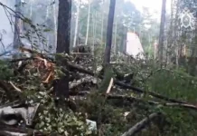 Реакция Росавиации и лидеров СНГ на трагедию с Ан-24 авиакомпании Ангара reakcziya rosaviaczii i liderov sng na tragediyu s an24 aviakompanii angara-stanural-ru-0