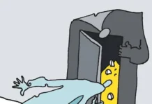 Рекордные дивиденды и успехи РНПК и Совкомбанк Страхования в 2024 году rekordnye dividendy i uspehi rnpk i sovkombank strahovaniya v 2024 godu-stanural-ru-0