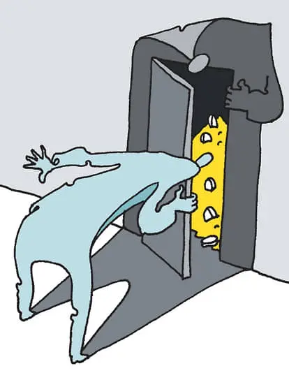 Рекордные дивиденды и успехи РНПК и Совкомбанк Страхования в 2024 году-0