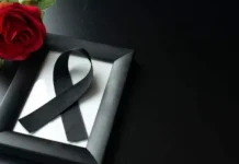 Селеста Пин является верным защитником Фиорентины, Перуджи, Вероны и Сиены selesta pin yavlyaetsya vernym zashhitnikom fiorentiny perudzhi verony i sieny-stanural-ru-0