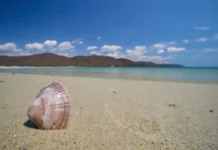 Триозерье в Приморье предлагает отдых на волне с высокими ценами на отели triozere v primore predlagaet otdyh na volne s vysokimi czenami na oteli-stanural-ru-0