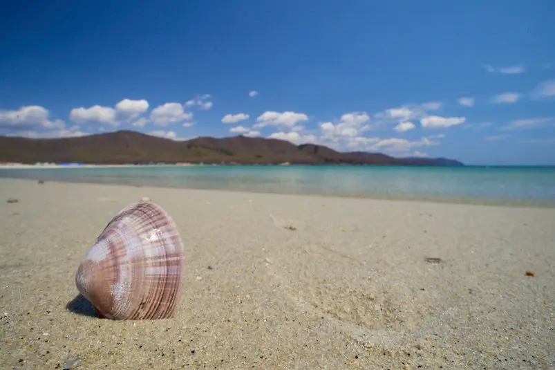 Триозерье Дмитрий Осипчук, ИА PrimaMedia.ru