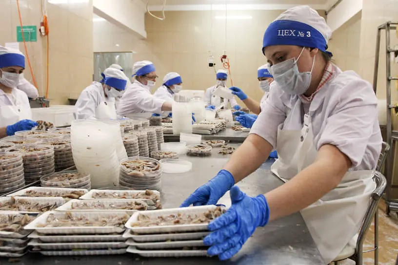 Производство пресервов