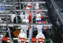 Ассоциация судовладельцев рыбопромыслового флота и Минсельхоз содействуют устойчивому развитию рыболовства assocziacziya sudovladelczev rybopromyslovogo flota i minselhoz sodejstvuyut ustojchivomu razvitiyu rybolovstva-stanural-ru-0