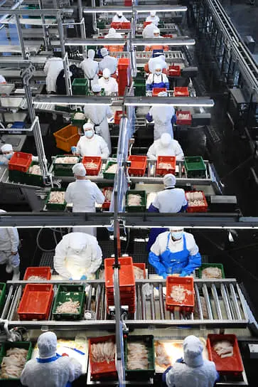 Ассоциация судовладельцев рыбопромыслового флота и Минсельхоз содействуют устойчивому развитию рыболовства-0