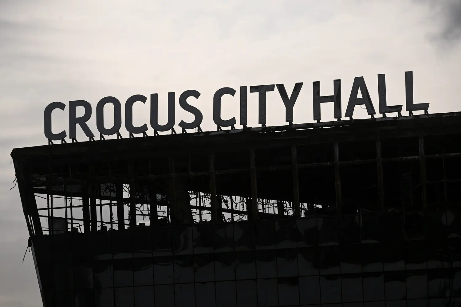 Джабраил Аушев признал вину по делу Крокус Сити Холл с группой Медова и Аиева-0