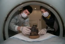 Изучение мумии из МГУ позволило открыть её внешность методом Герасимова izuchenie mumii iz mgu pozvolilo otkryt eyo vneshnost metodom gerasimova-stanural-ru-0