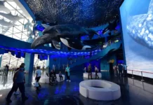 Как ФГУПы помогают Приморскому океанариуму решать судебные вопросы kak fgupy pomogayut primorskomu okeanariumu reshat sudebnye voprosy-stanural-ru-0