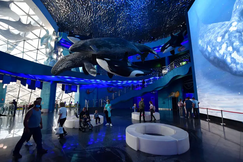 Фото: primamedia.ru