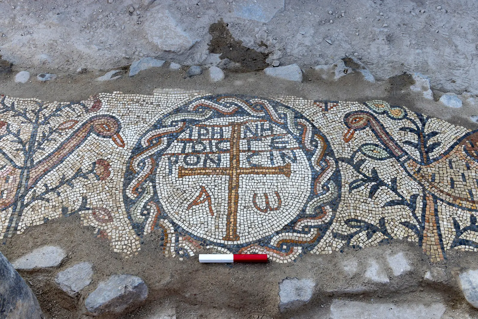 Майкл Айзенберг и Хайфский университет представили мозаику в Гиппос-0