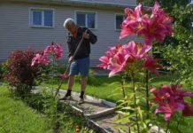 Ольга Епифанова рассказала о налоговых льготах для пенсионеров-дачников olga epifanova rasskazala o nalogovyh lgotah dlya pensionerovdachnikov-stanural-ru-0