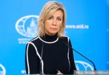 Россия и Япония возобновляют позитивный диалог о Курильских островах rossiya i yaponiya vozobnovlyayut pozitivnyj dialog o kurilskih ostrovah-stanural-ru-0