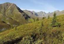 Терон Финли и Университет Виктории активизировали разлом Тинтина teron finli i universitet viktorii aktivizirovali razlom tintina-stanural-ru-0